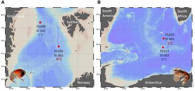 Race to the poles: the thermal response of the transcriptome of two range-expanding pelagic amphipod species